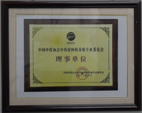 双峰中草药,中草药种苗