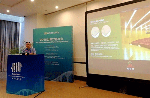 桃花江竹材论道世界竹藤大会 桃花江竹材论道世界竹藤大会