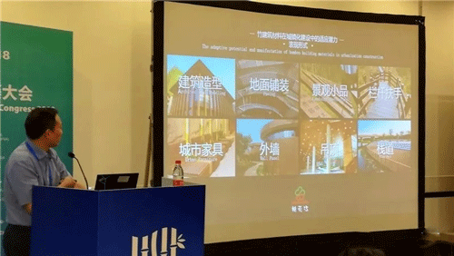 桃花江竹材论道世界竹藤大会 桃花江竹材论道世界竹藤大会