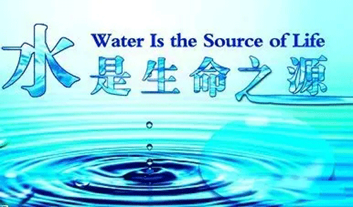 4.gif 4.gif