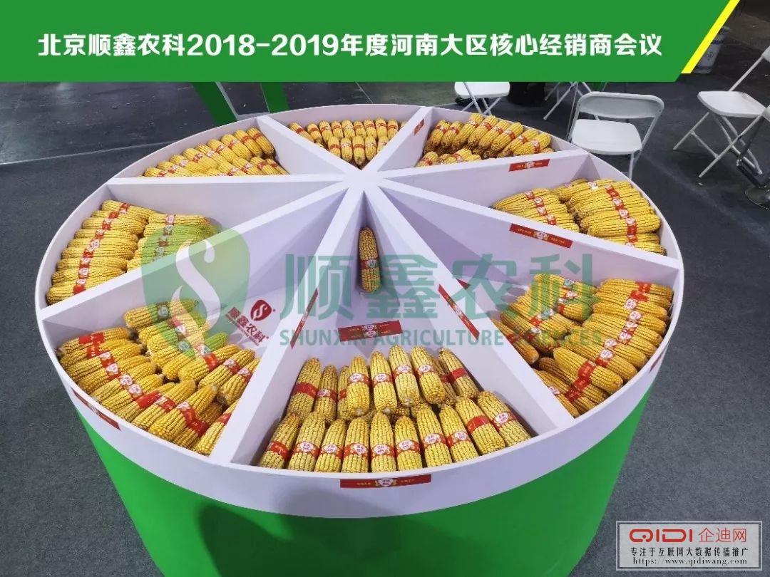 玉米主推品种.jpg 玉米主推品种.jpg