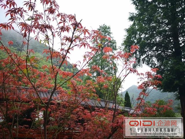 宗源云隐山居 宗源云隐山居