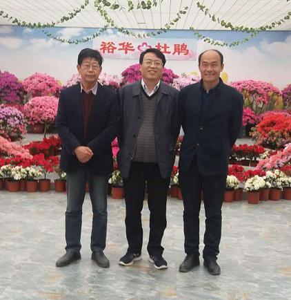 八卦洲杜鹃文化园,红杜鹃农业集团,裕华杜鹃种植园 八卦洲杜鹃文化园,红杜鹃农业集团,裕华杜鹃种植园