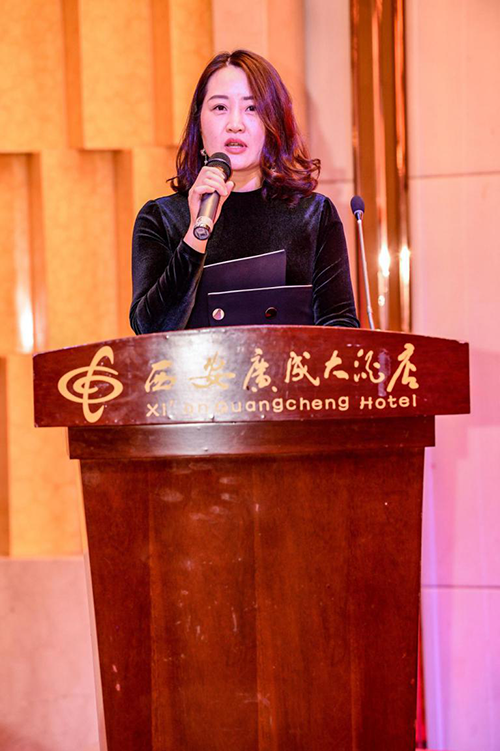 2018西企协年度颁奖晚会 2018西企协年度颁奖晚会