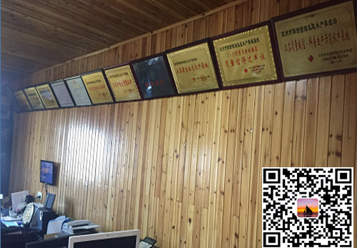 澄丰牌阳澄湖大闸蟹 澄丰牌阳澄湖大闸蟹