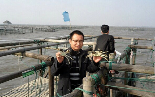 澄丰牌阳澄湖大闸蟹 澄丰牌阳澄湖大闸蟹