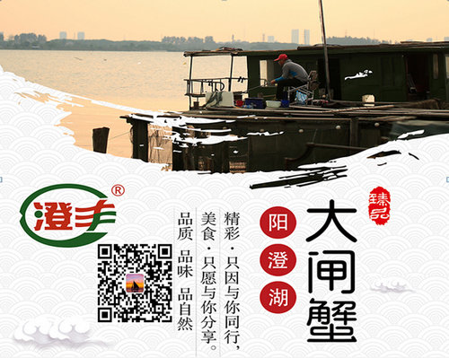 澄丰牌阳澄湖大闸蟹 澄丰牌阳澄湖大闸蟹