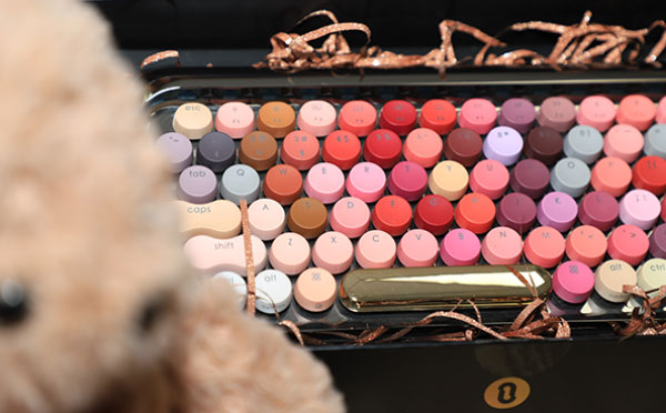 flover15.jpg flover15.jpg