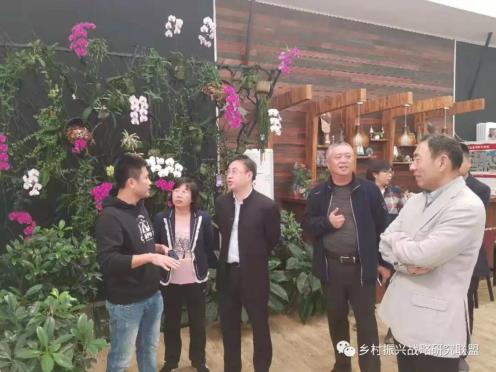 吉奥,吉奥集团,中青旅集团,北京建工集团,琼海市,段博士 吉奥,吉奥集团,中青旅集团,北京建工集团,琼海市,段博士