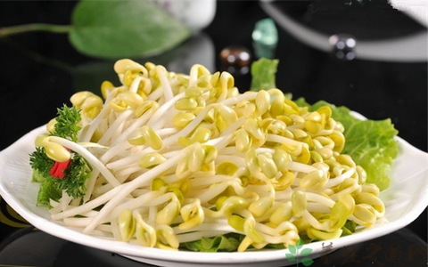 黄豆芽 黄豆芽
