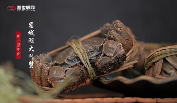 固城湖大闸蟹 固城湖大闸蟹