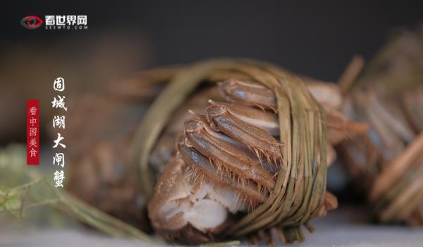 固城湖大闸蟹 固城湖大闸蟹