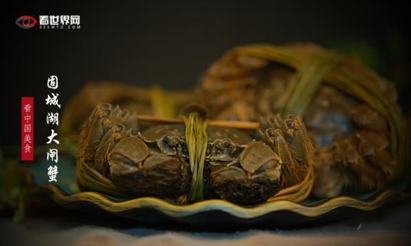 固城湖大闸蟹 固城湖大闸蟹