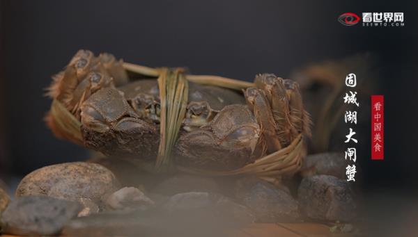 固城湖大闸蟹 固城湖大闸蟹