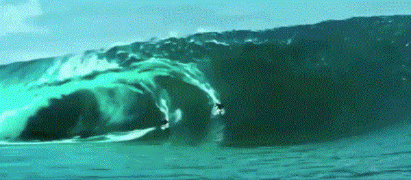 1.gif 1.gif