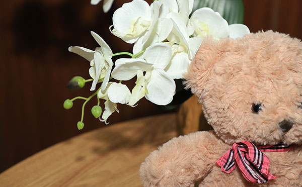 flover14.jpg flover14.jpg
