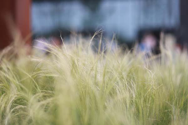 IMG_4431 拷贝.jpg IMG_4431 拷贝.jpg
