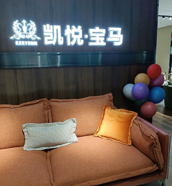 凯悦宝马沙发 凯悦宝马沙发