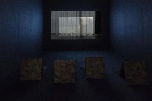 1608000788902775.jpg 24.jpg