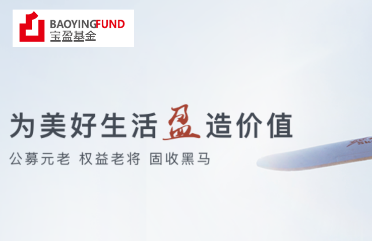 明星基金经理肖肖受挫,宝盈基金竞争权益基金爆款有点难 独家 第1张-壹财信 明星基金经理肖肖受挫,宝盈基金竞争权益基金爆款有点难 独家 第1张-壹财信