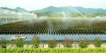 水肥一体化技术 水肥一体化技术
