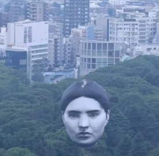 头1.jpg 头1.jpg