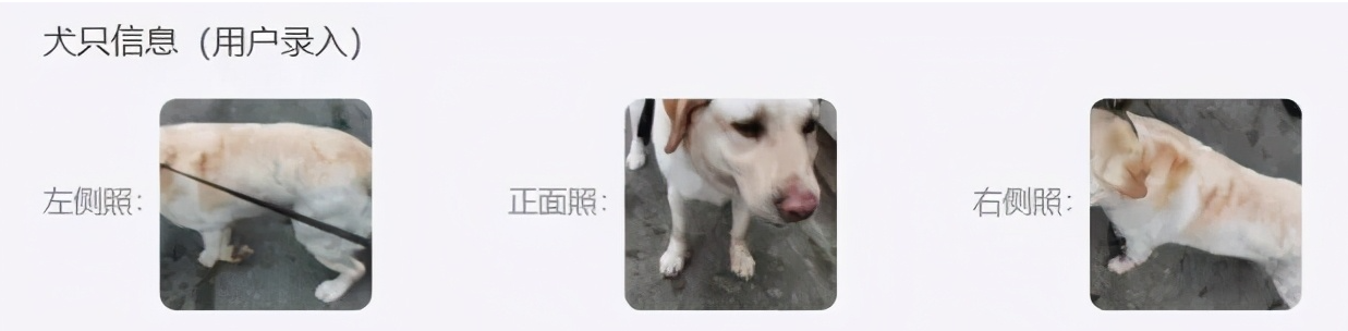 新插图.png 新插图.png