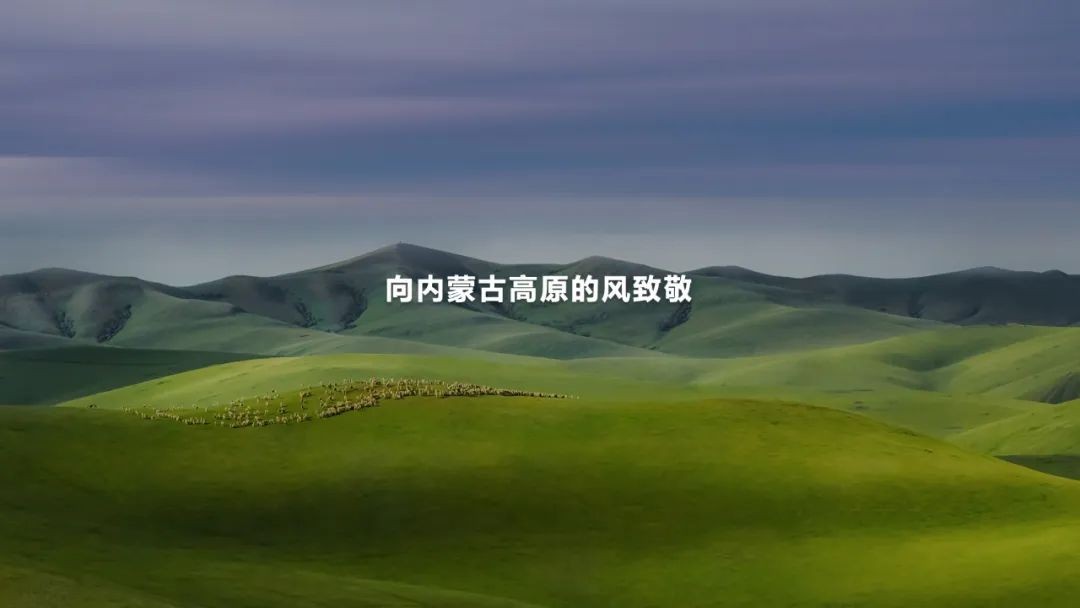 20231120154703590649591.jpeg 20231120154703590649591.jpeg